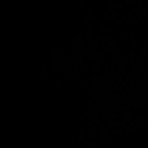 Meet your Posher, Liana